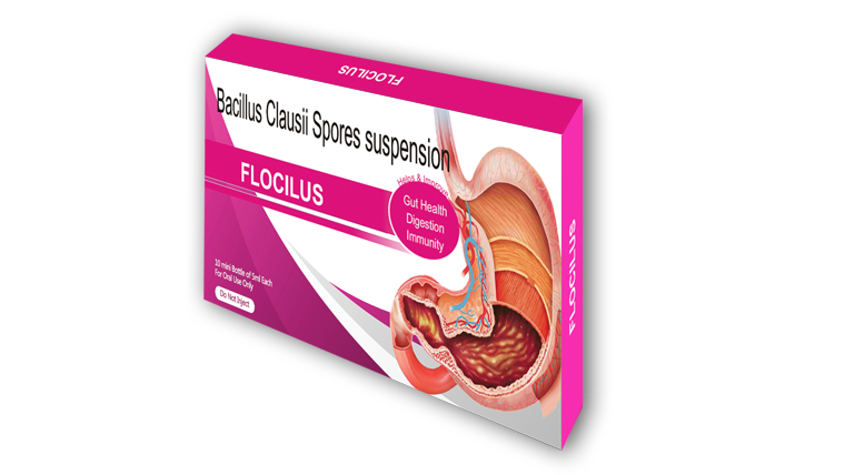 Flocilus